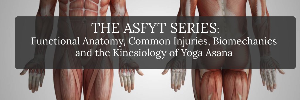 AnatomyStudies's profile banner image