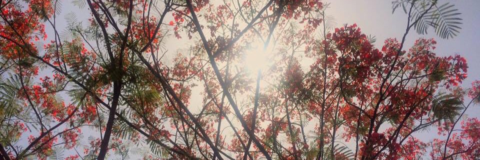 d_m_tr107's profile banner image