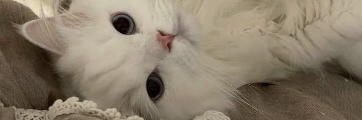 Nath Bloss 🇨🇴 ⚝ banner