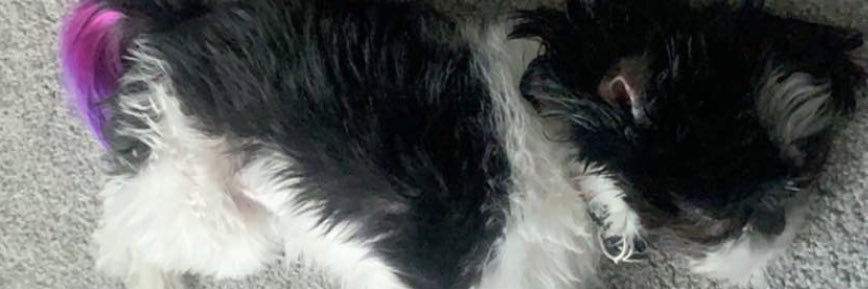 brisar_iz's profile banner image