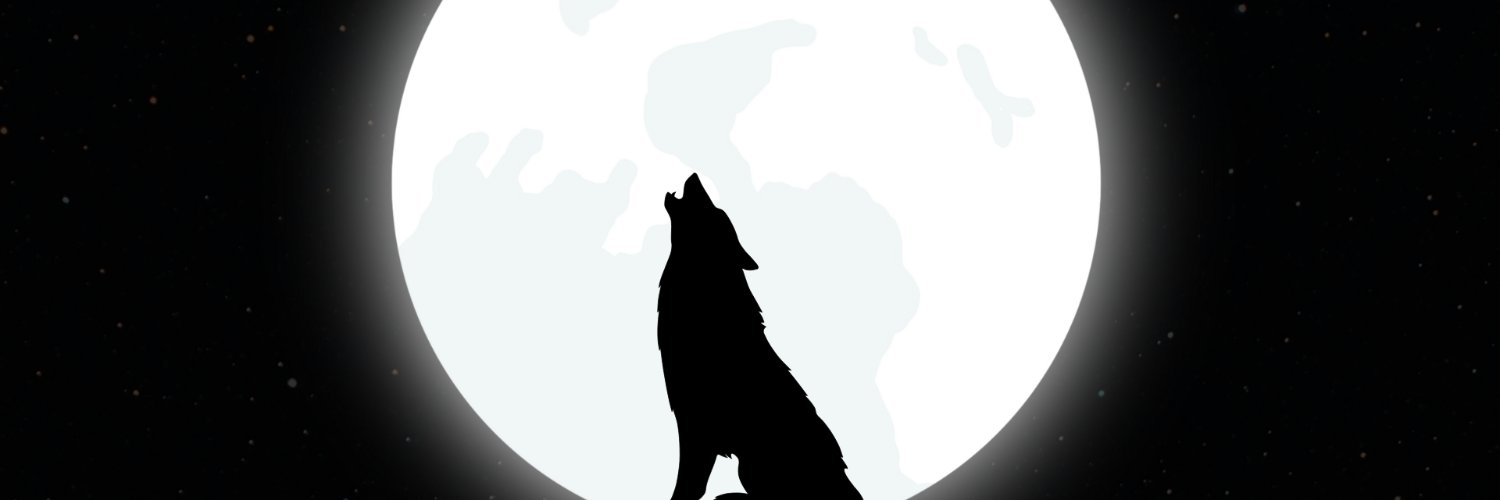 goony9's profile banner image