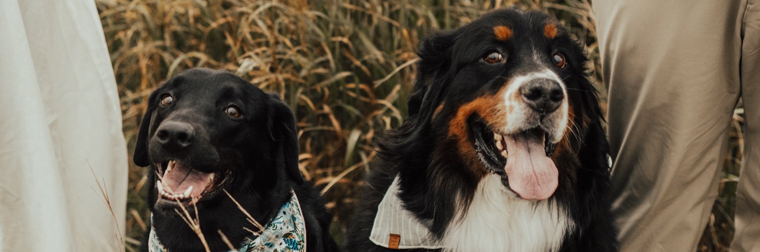 claireeeg's profile banner image