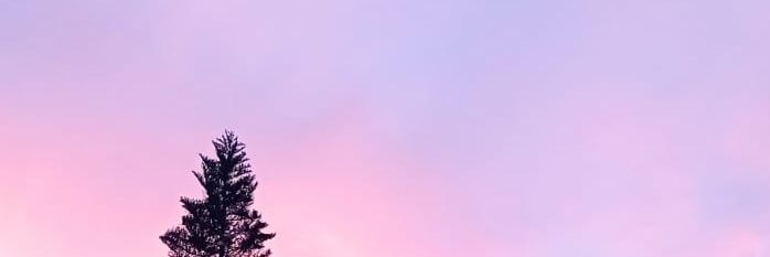naomi_levampire's profile banner image