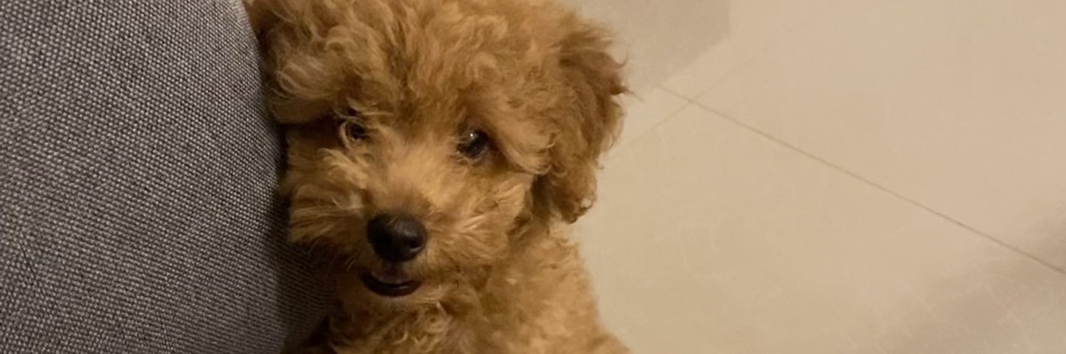 katreenajxyce's profile banner image