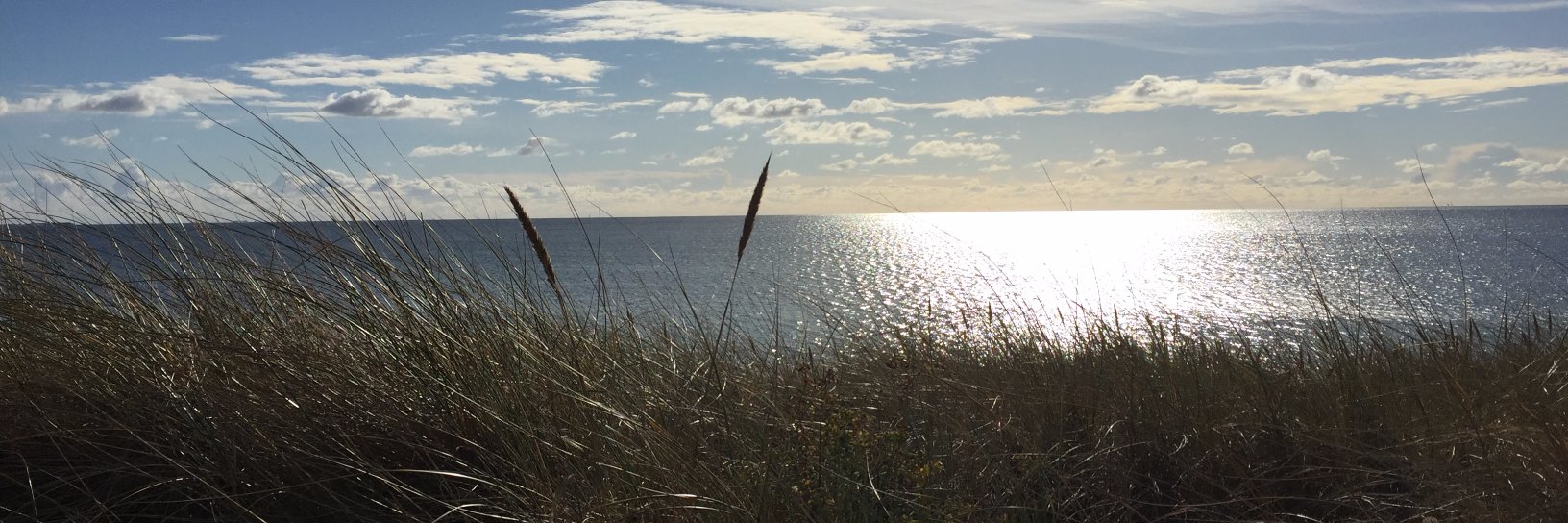 Mathieu LE NOACH banner