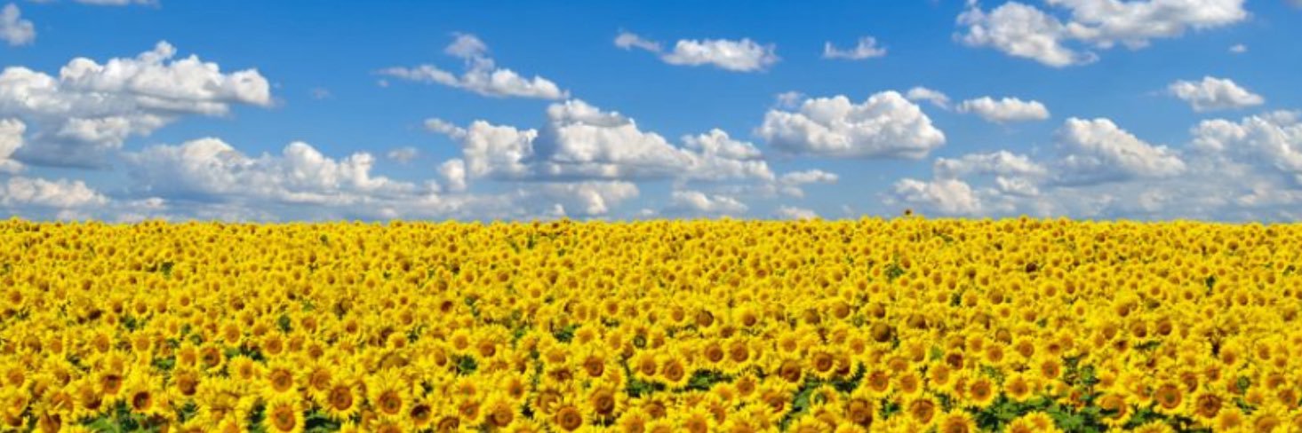 pete12357's profile banner image