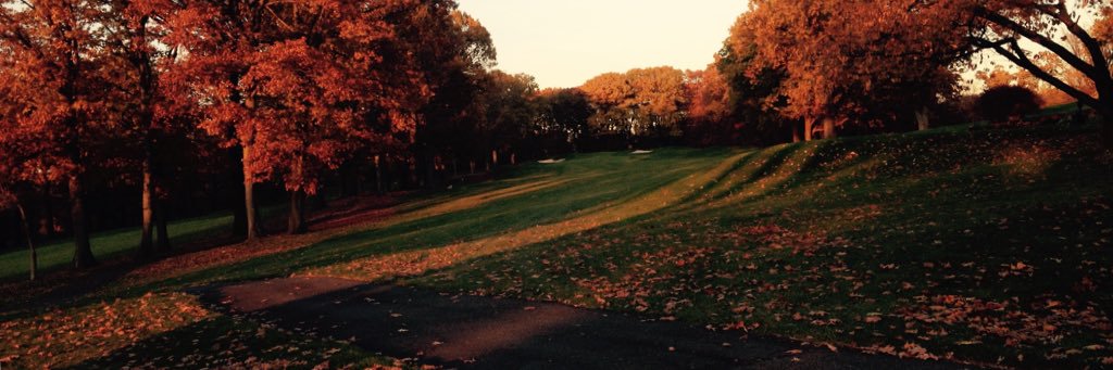 ImAlwaysWatching! banner