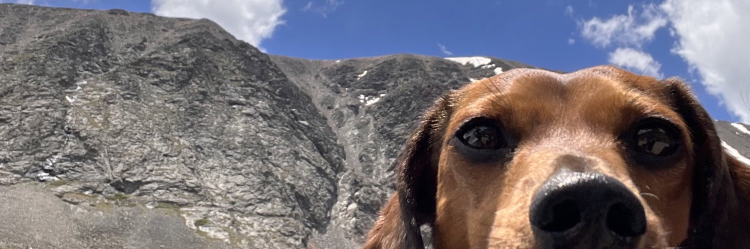 OhhhFord's profile banner image