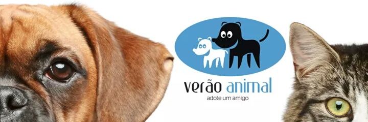 VeraoAnimal's profile banner image