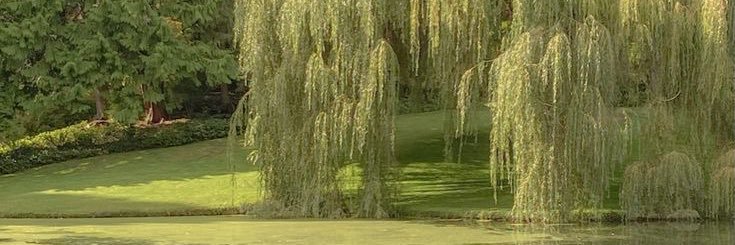 frnchtstluvr's profile banner image