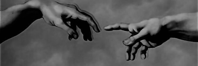 luisatoro's profile banner image