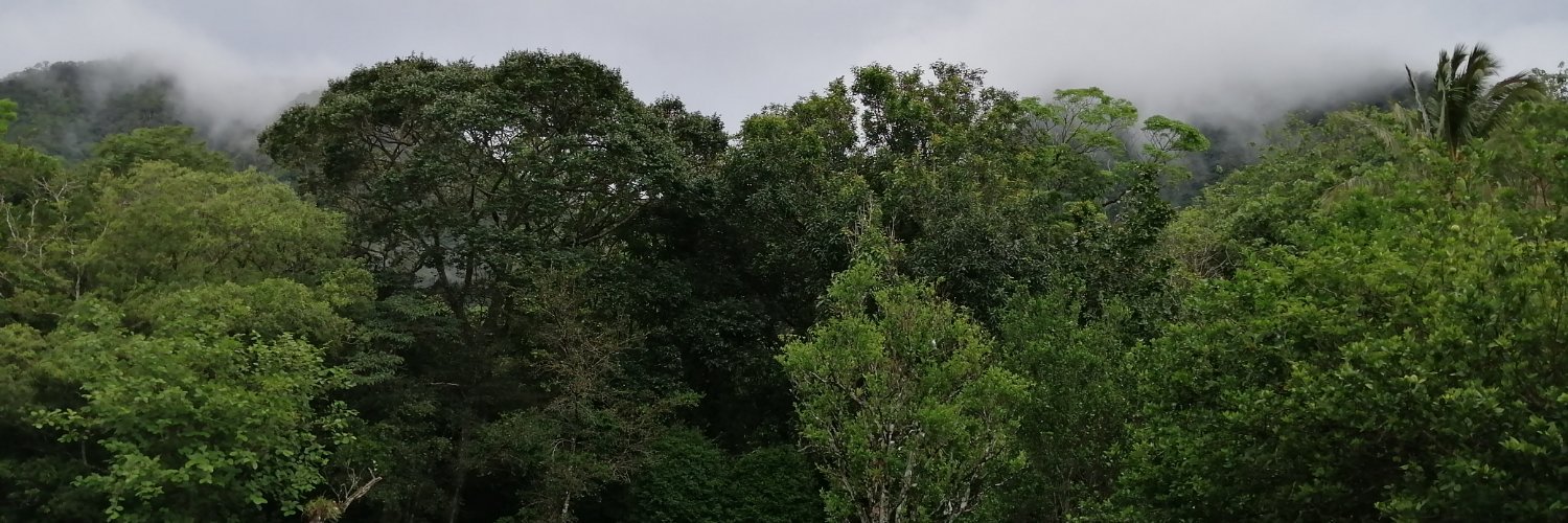 aralysalvarez's profile banner image