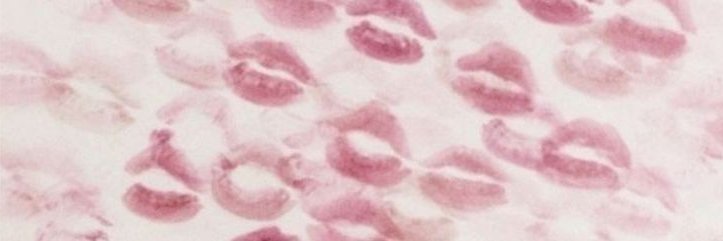 oospiedaisy's profile banner image
