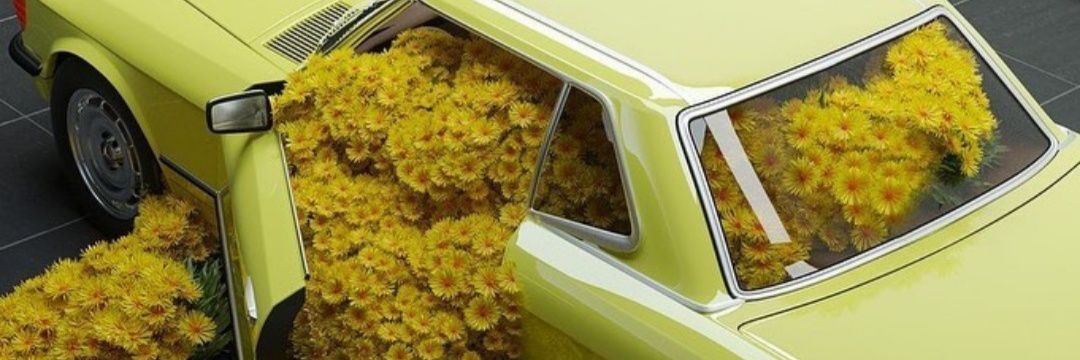 ailendiazm's profile banner image