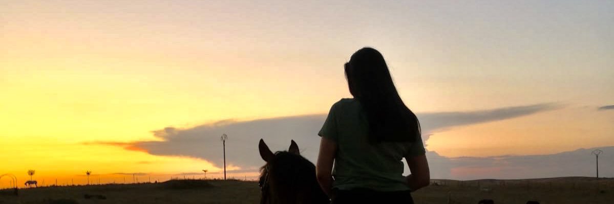 Elerisy's profile banner image