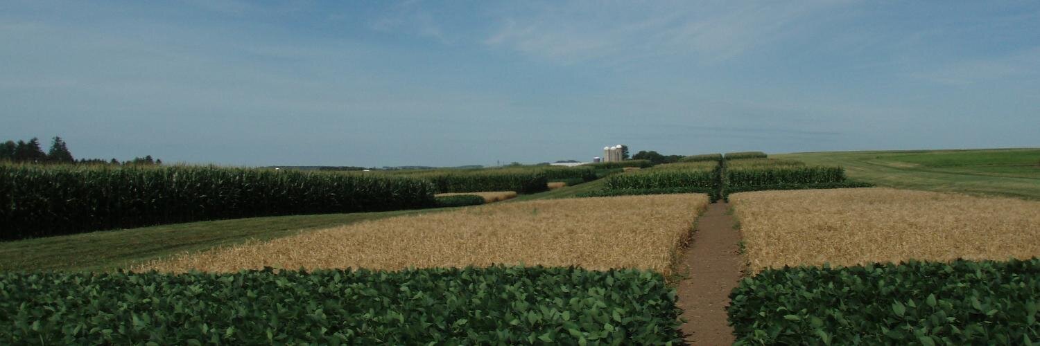 Corn Agronomy banner