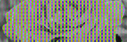 Guy Wuollet's banner