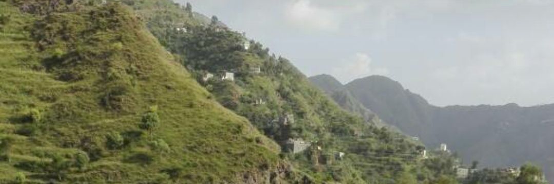 suhyb22's profile banner image