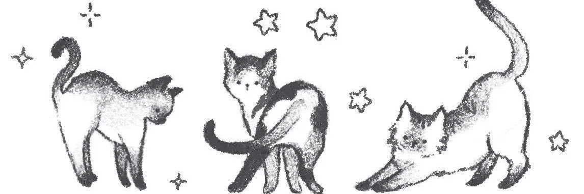 𝚊𝚖𝚊𝚗𝚍𝚊 ♡ banner