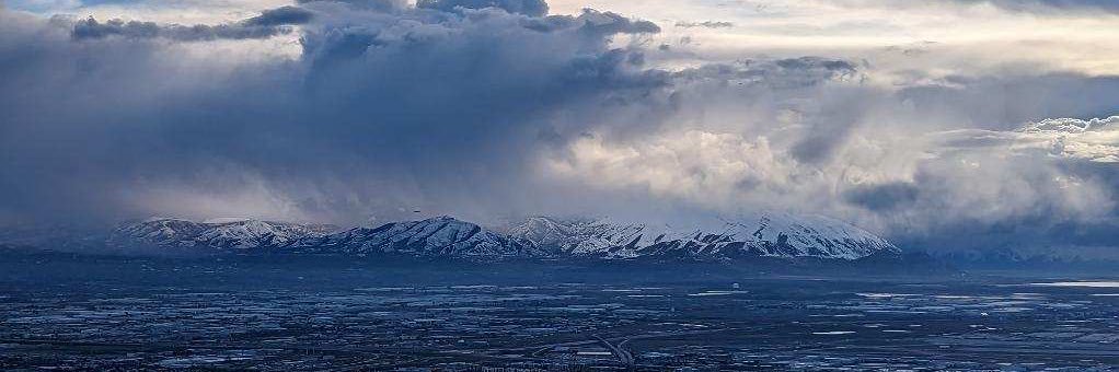 Elizabeth Shewark banner