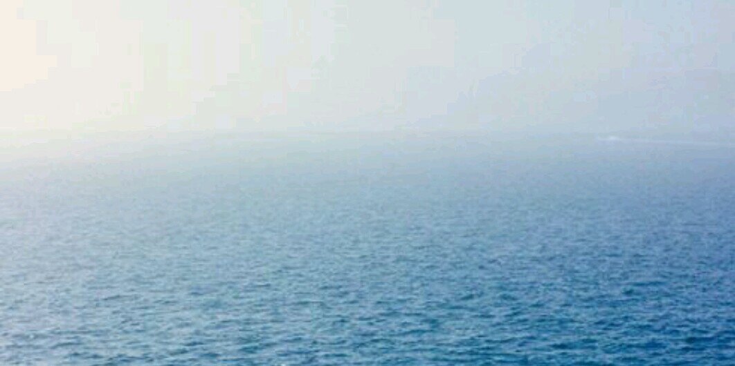 aleynaaaaergul's profile banner image
