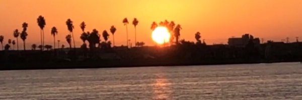 thebeaglebets Profile Banner