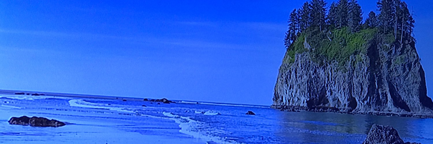 Claudine Labady BSN, RN banner