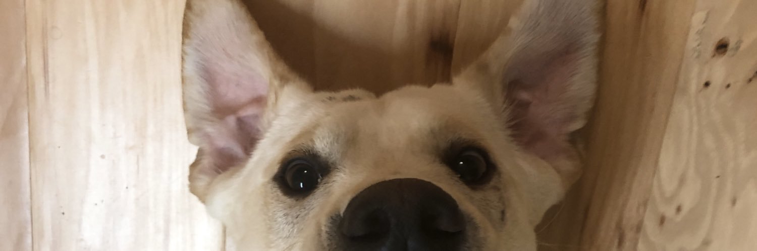 MadilynWike's profile banner image