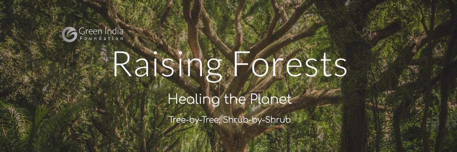 greenindiaf's profile banner image