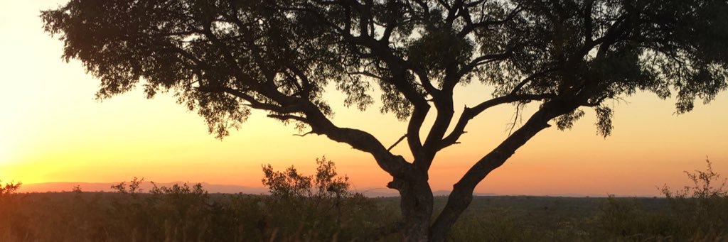 laurahillier's profile banner image