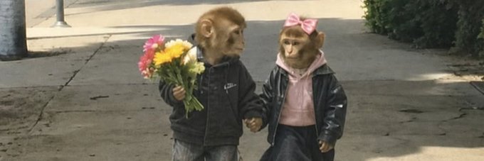 SmellsLikeConde's profile banner image