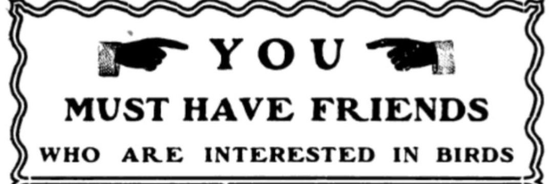 ayeloads's profile banner image