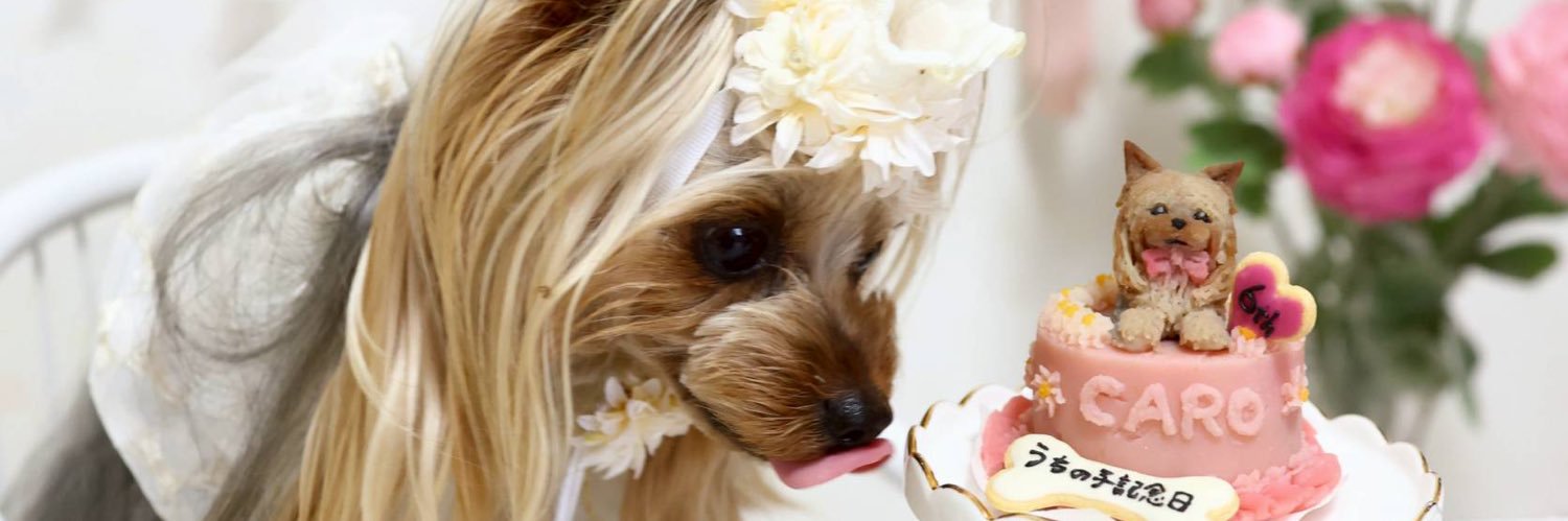 ayuyuiv's profile banner image