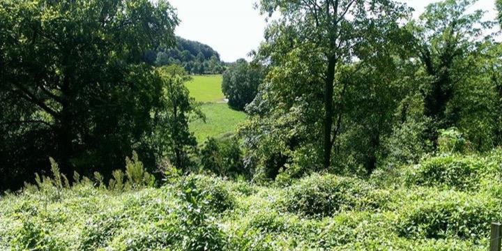 Marcel Creemers banner