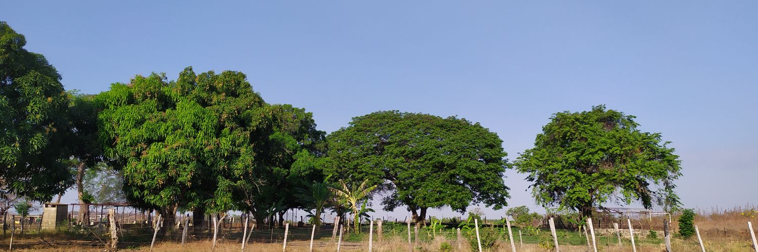 gerarcont's profile banner image