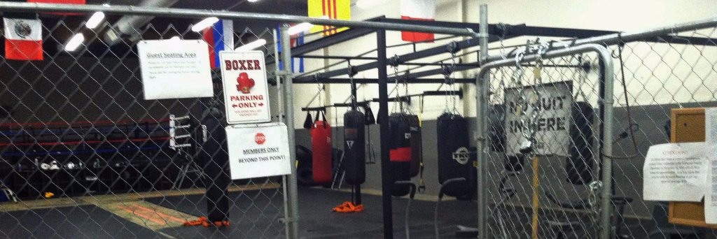 KennelBoxing's profile banner image