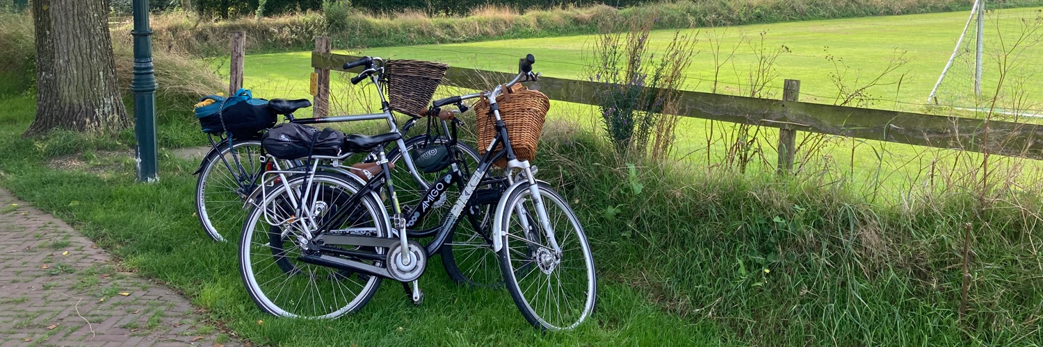 Ana Gil Luciano banner