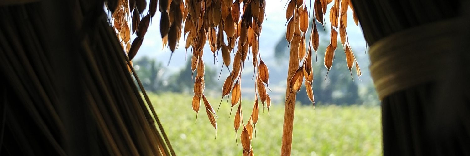 AgungMsr's profile banner image