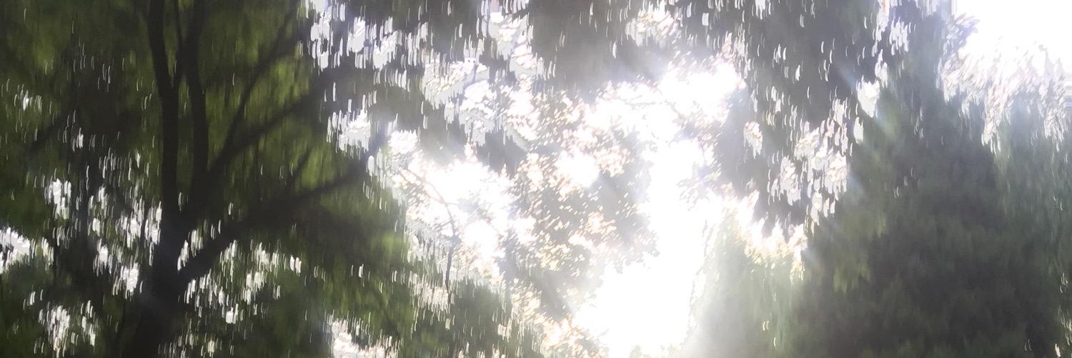 bhelle1986's profile banner image