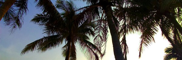 9901ping Profile Banner