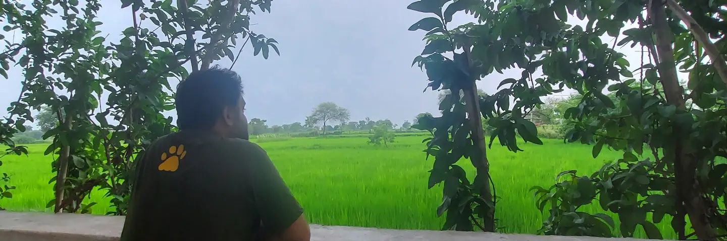 saurabhdby's profile banner image