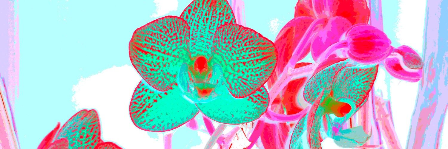 TamerieShriver's profile banner image