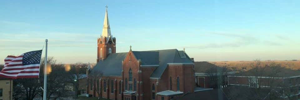 ridderam's profile banner image