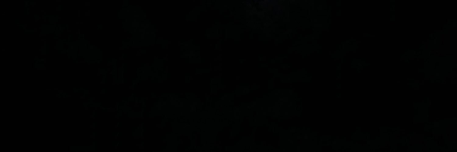 SaraAlsane3's profile banner image