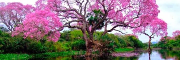 JAMM2898's profile banner image