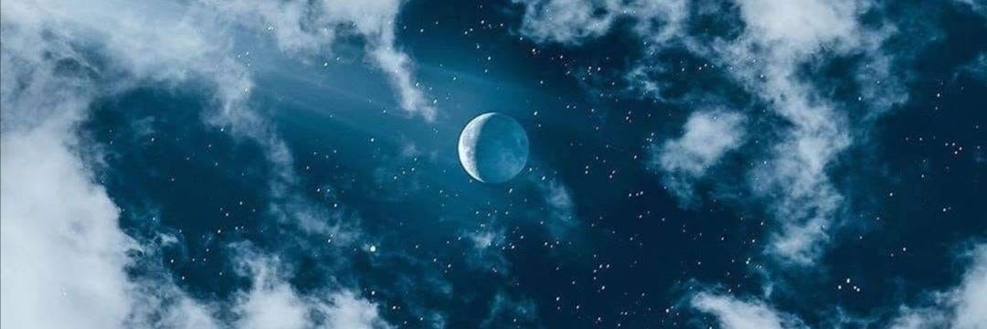 Neko banner