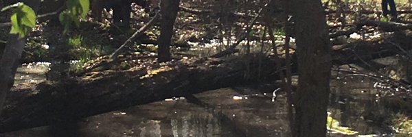 CFowlerCHS Profile Banner