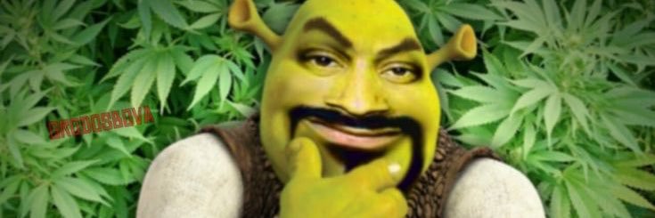 VitorTouduro's profile banner image