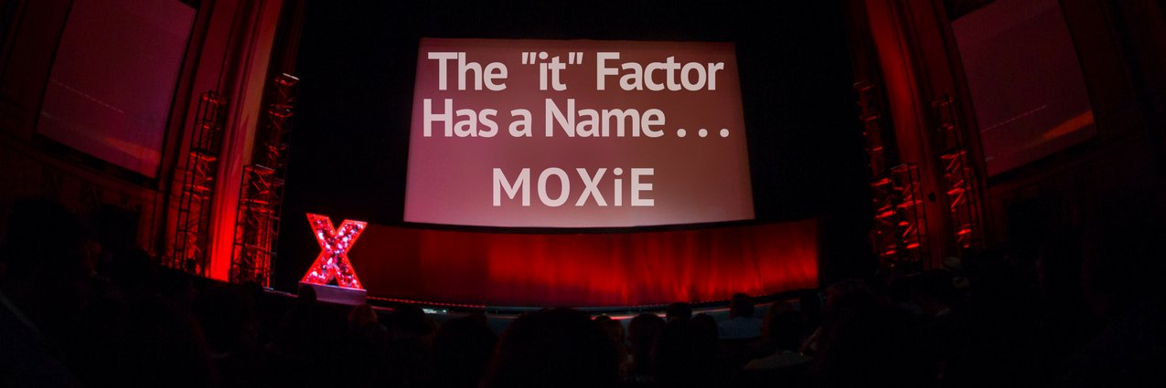 TheMoxieEffect's profile banner image