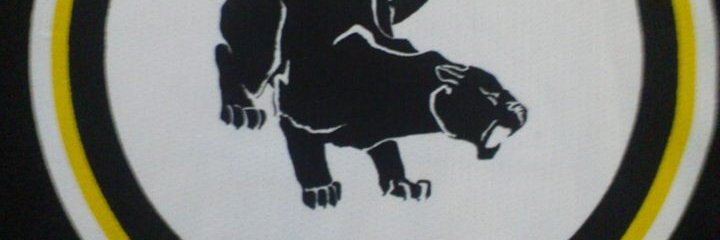 Arsca69's profile banner image